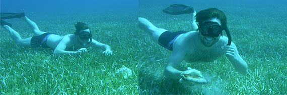 conch