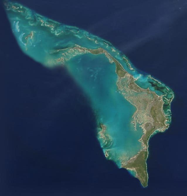 abaco